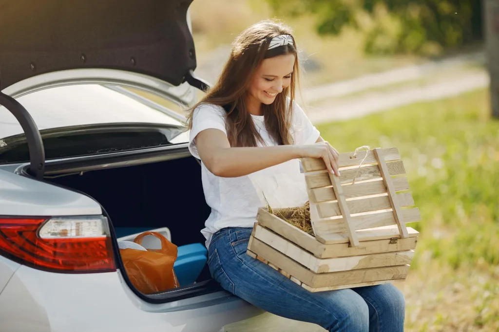 Best Car Organizer: 9 Picks in 2026