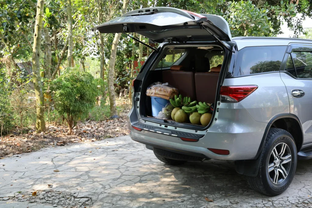 Best Trunk Organizer for SUV: 9 Picks featured image