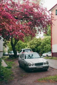 How to Remove Tree Sap From a Car Safely